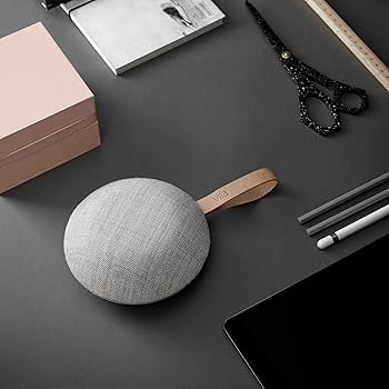 Amazon.com: Vifa Reykjavik Bluetooth Speaker - Portable Wireless