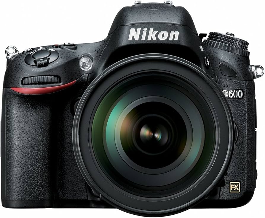 Amazon.com : Nikon D600 24.3 MP CMOS FX-Format Digital SLR Kit