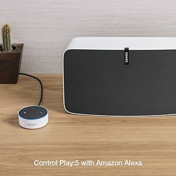 Amazon.com: Sonos Play:5 (2009) - White : Electronics