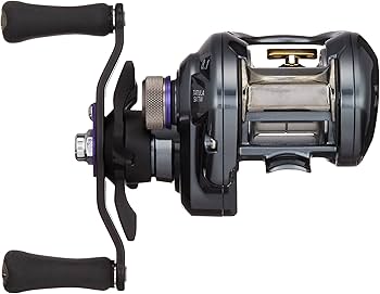 Amazon | ダイワ(DAIWA) ベイトリール 17 タトゥーラ SV TW 8.1L (2017