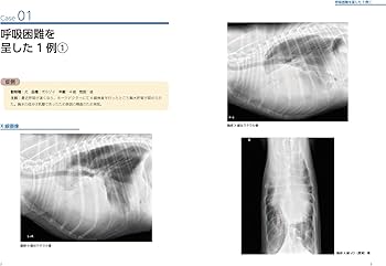 71sng6fDQzL._AC_UF350,