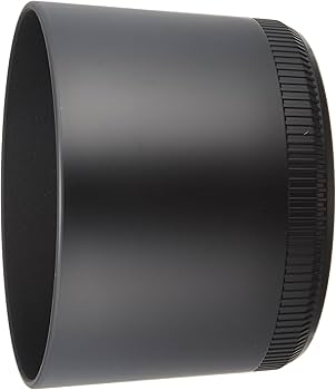Amazon.com : Sigma 70-300mm f/4-5.6 DG APO Macro Telephoto Zoom