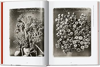 Amazon.com: Karl Blossfeldt. The Complete Published Work. 45th Ed