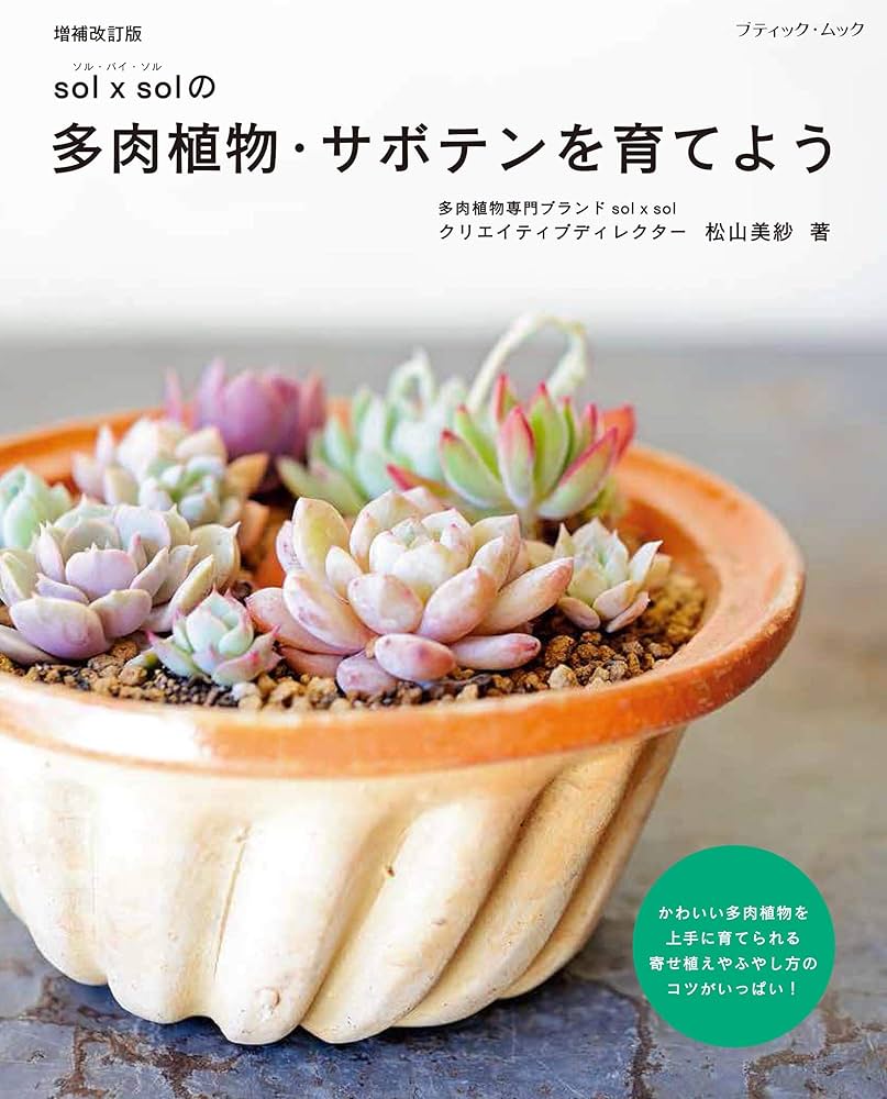 増補改訂版 sol×solの多肉植物・サボテンを育てよう (ブティック