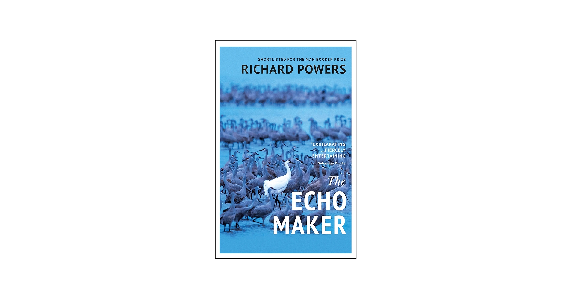 Echo Maker: Richard Powers: 9780099506027: Amazon.com: Books
