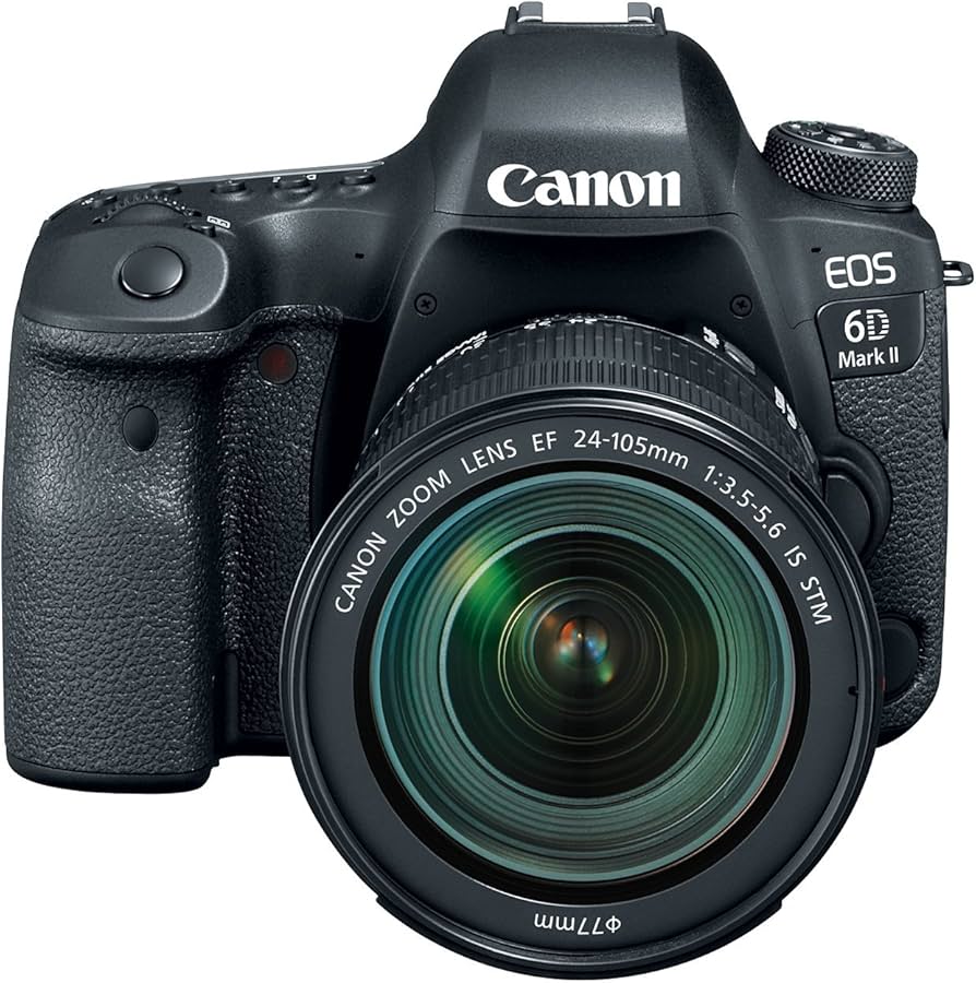 Amazon.com : Canon EOS 6D Mark II with EF 24-105mm IS STM Lens