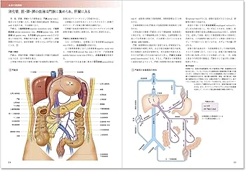 カラー図解 人体の正常構造と機能〈2〉循環器【改訂第4版】 | 大谷 修