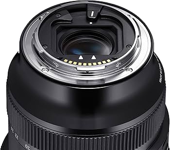 Amazon.com : Sigma 14-24mm F2.8 DG DN Sony E Mount (Renewed