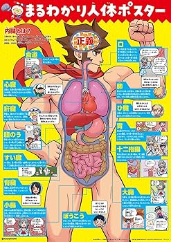 Amazon.co.jp: 空想科学学園 理系脳を育む4冊セット (角川まんが科学