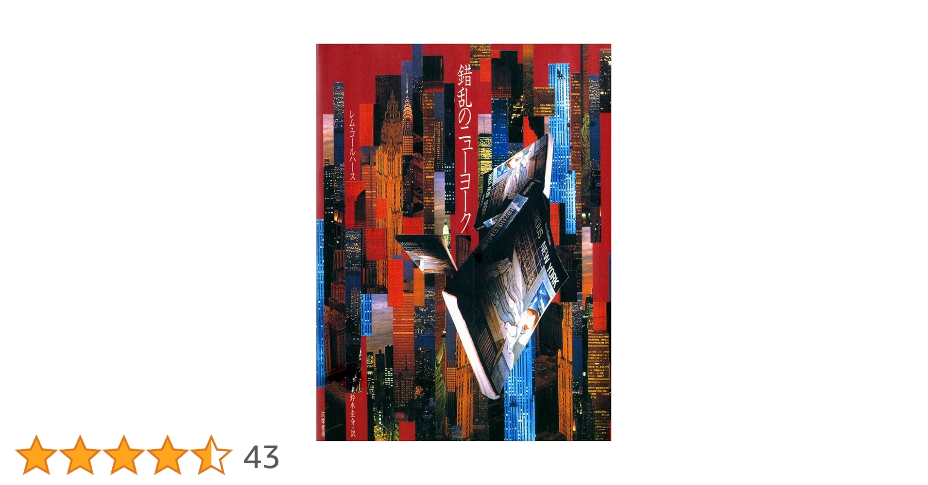 h*a様 【希少】DELIRIOUS NEW YORK 錯乱のニューヨーク 英語 錯乱の