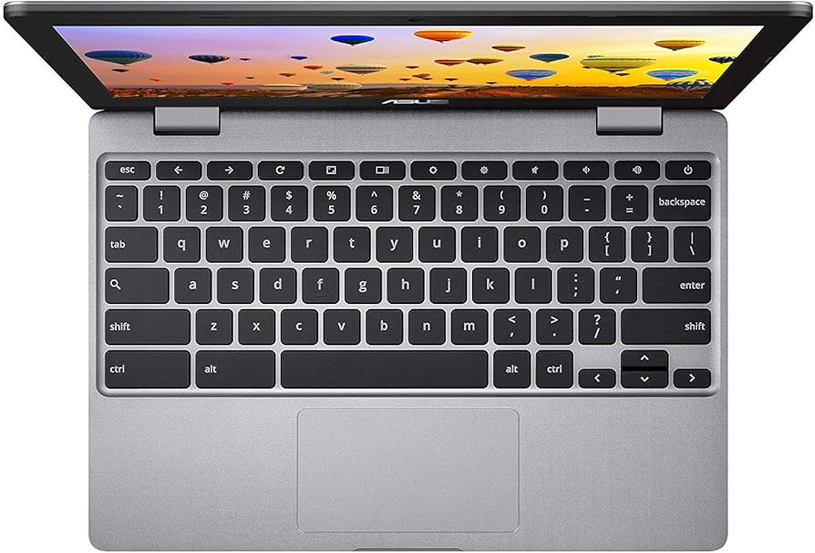 Amazon.com: ASUS Chromebook C223 11.6