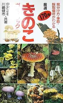 81+FyMt5KRL._AC_UF350,