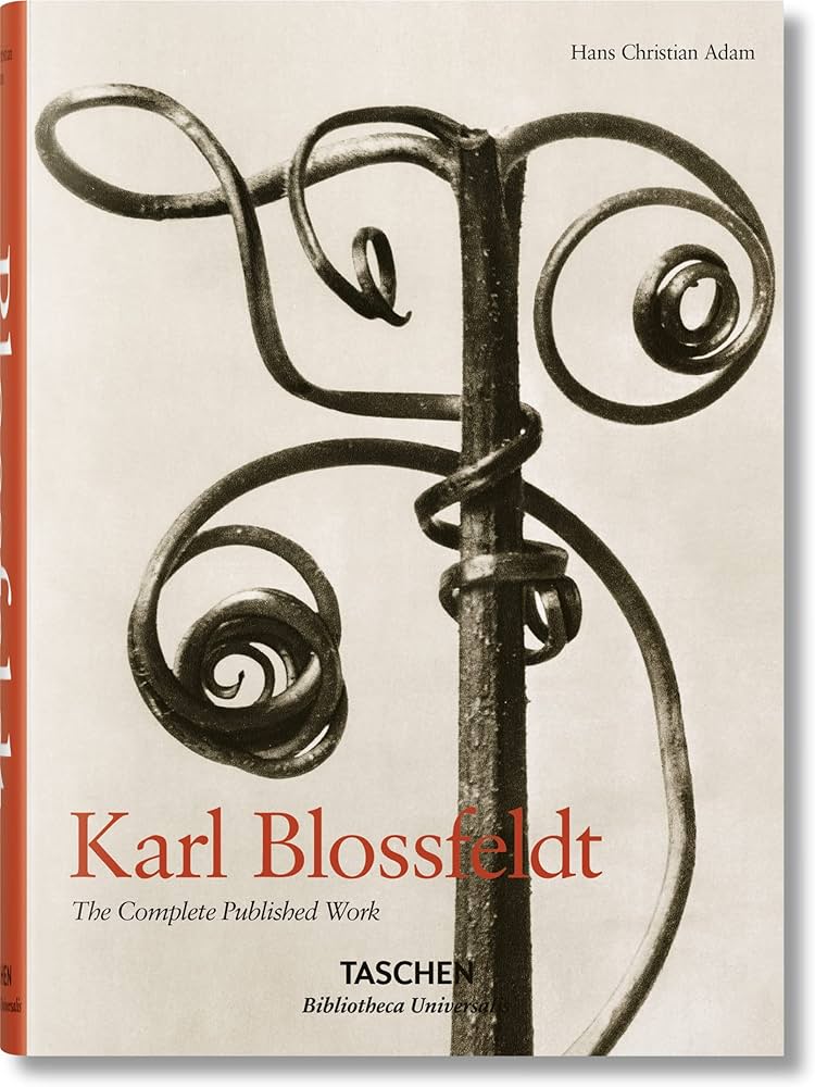 Amazon.com: Karl Blossfeldt. The Complete Published Work