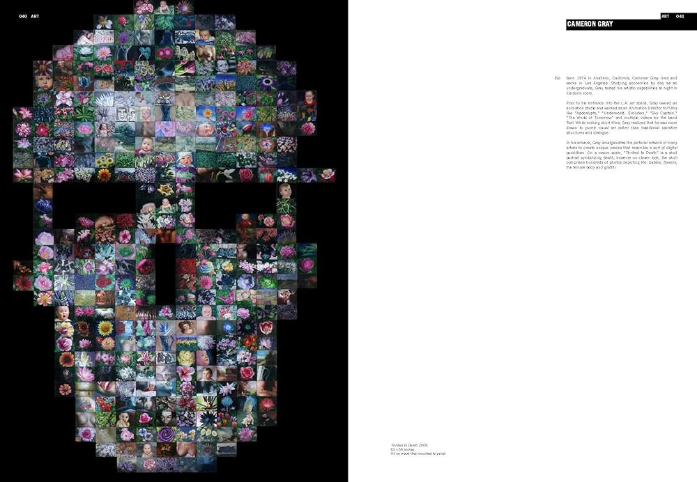 Amazon | Skull Style: Skulls in Contemporary Art and Design