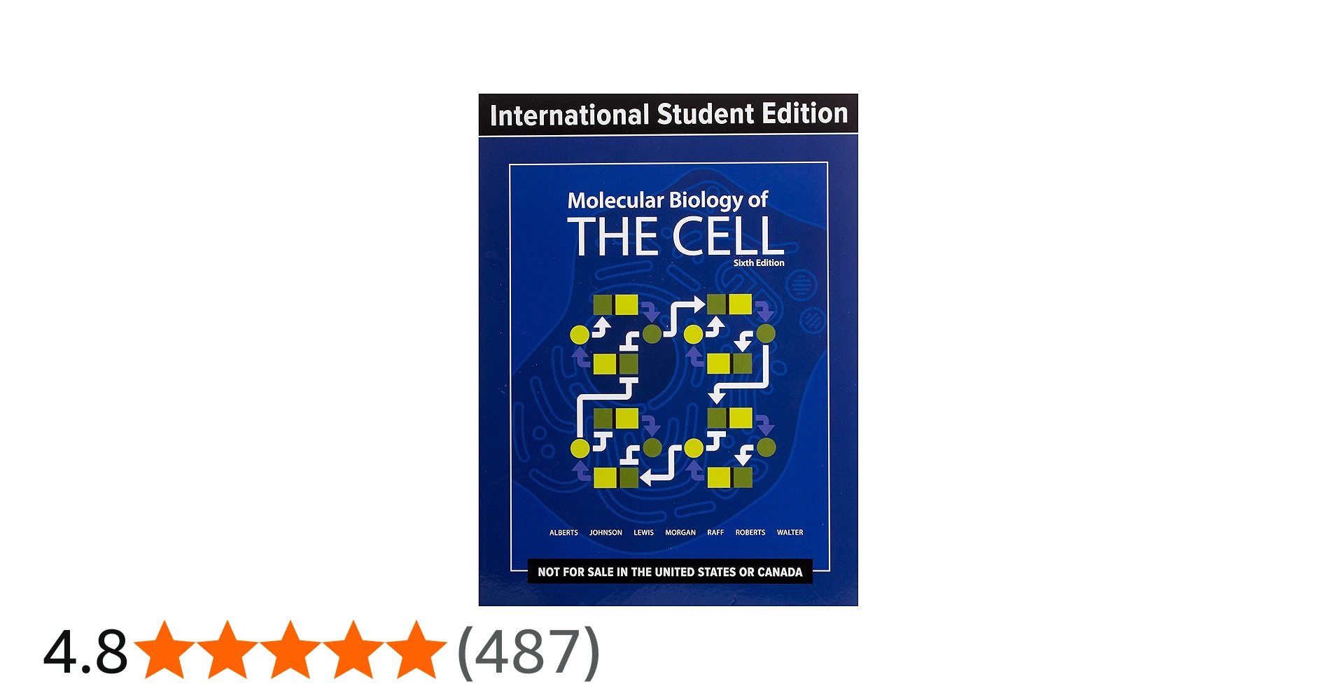 810bmF7s7oL.jpg_BO30,255,255,