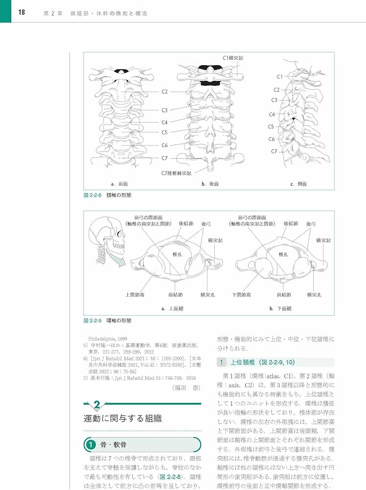 Amazon.co.jp: 運動器の機能と構造 スポーツ動作の機能解剖
