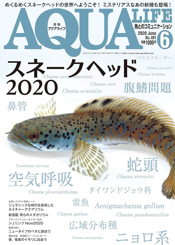 月刊アクアライフ 2020年06月号 スネークヘッド2020 |本 | 通販 | Amazon