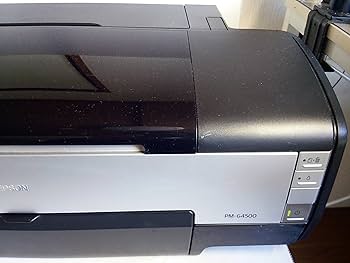 Amazon.co.jp: EPSON Colorio インクジェットプリンター PM-G4500 A3