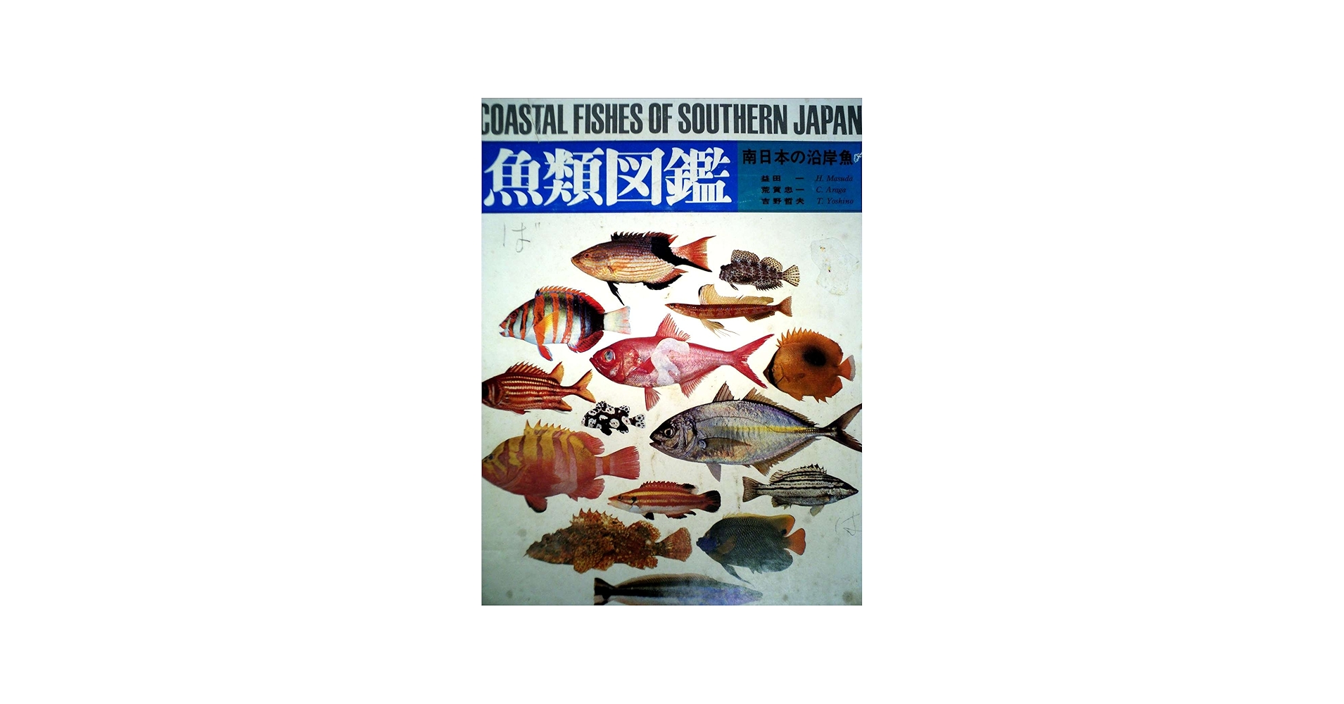 魚類図鑑―南日本の沿岸魚 (1975年) |本 | 通販 | Amazon
