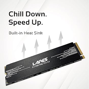 Amazon | LEVEN(レブン) JPS600 4TB PCIe ドラム読み取りなし 最大
