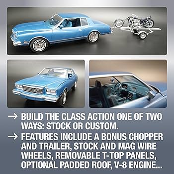 81u6y5OsI8L._AC_UF350,