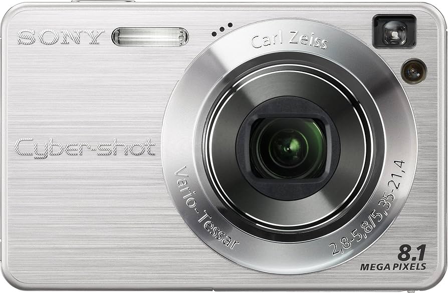 Amazon.com : Sony Cyber-shot DSC-W130 8.1MP Digital Camera with 4x