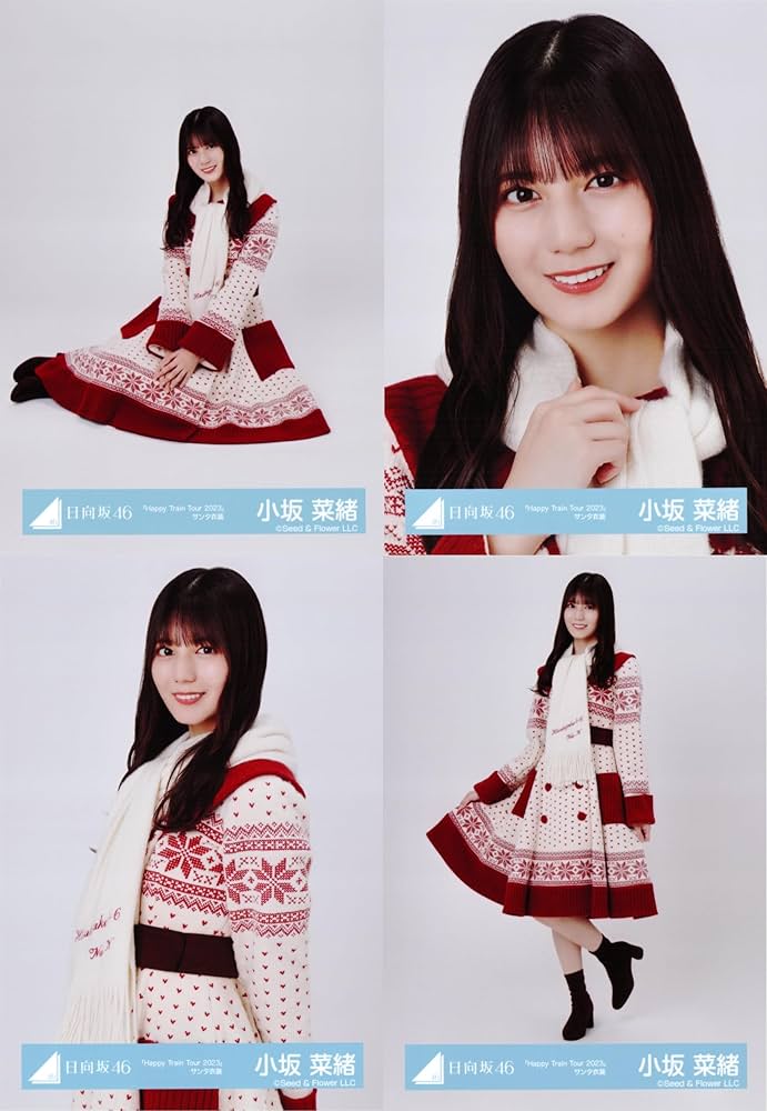 Amazon.co.jp: 日向坂46 生写真 「Happy Train Tour 2023」サンタ衣装