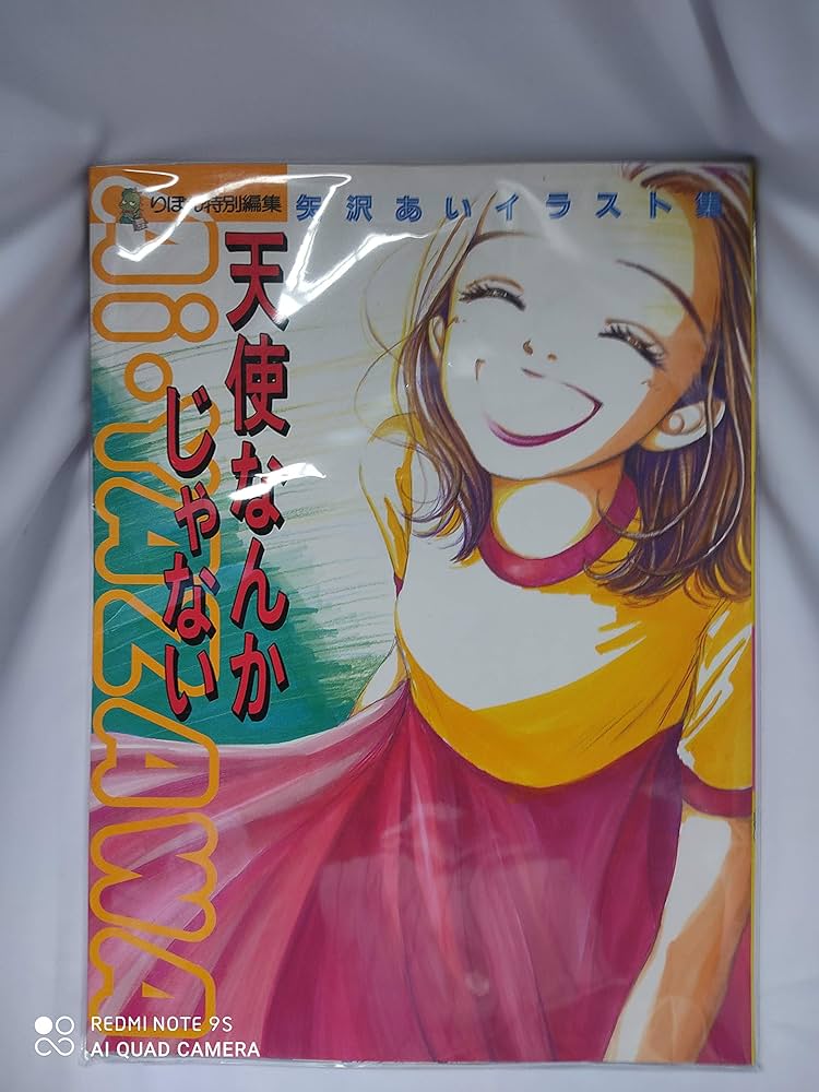 矢沢あいイラスト集 天使なんかじゃない (集英社ガールズコミックス