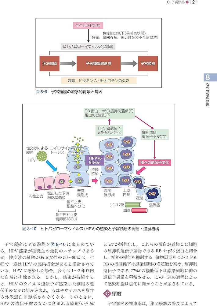 Amazon.co.jp: 標準産科婦人科学 第5版 (Standard Textbook) : 綾部