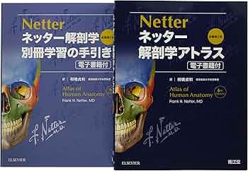 81xXuQO+BxL._AC_UF350,