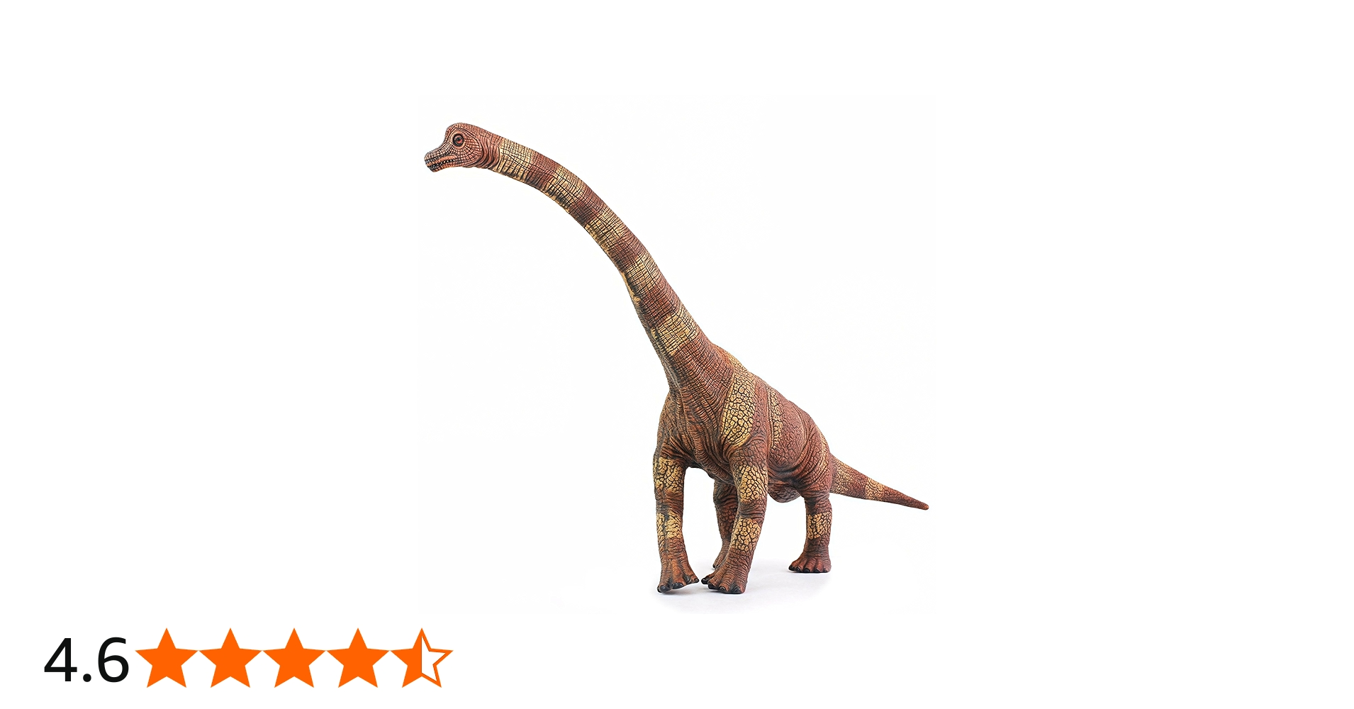 81xwuU8yEML.jpg_BO30,255,255,