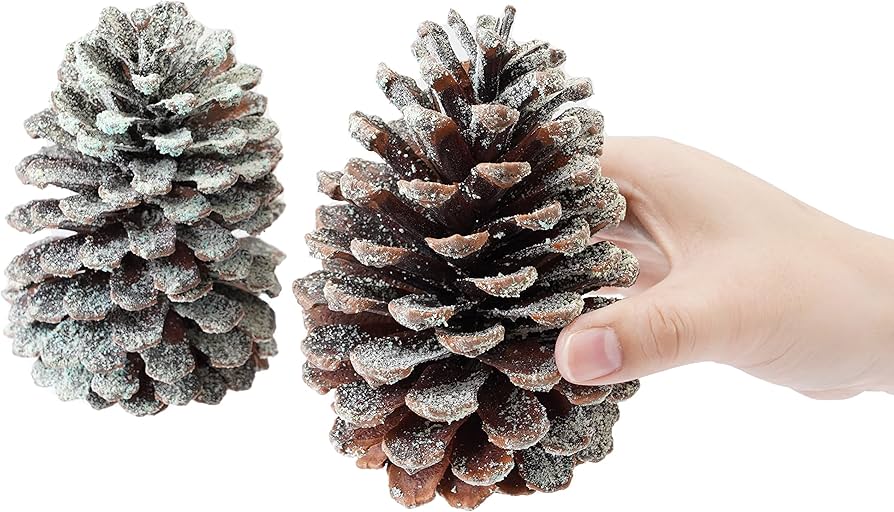 Amazon.co.jp: SEIDO レインボっくり 七色に燃える超巨大松ぼっくり