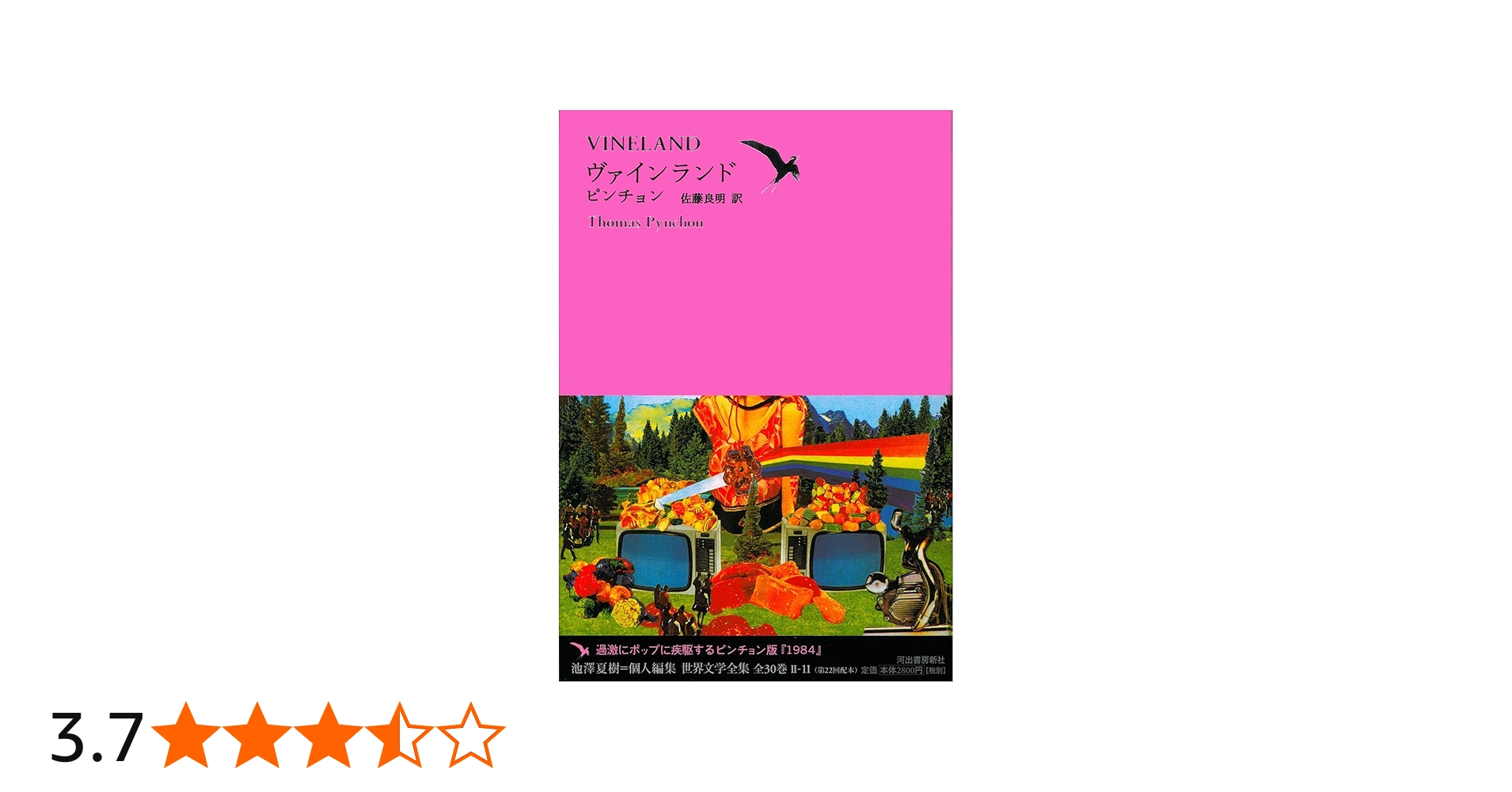 Amazon.co.jp: ヴァインランド (池澤夏樹=個人編集 世界文学全集 第2集