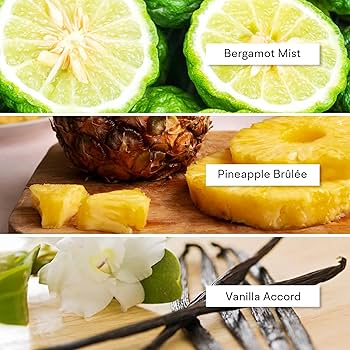 Amazon.com: Alexandria Fragrances Game Time Extrait de Parfum