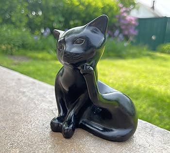 81z51X1ndeL._AC_UF350,