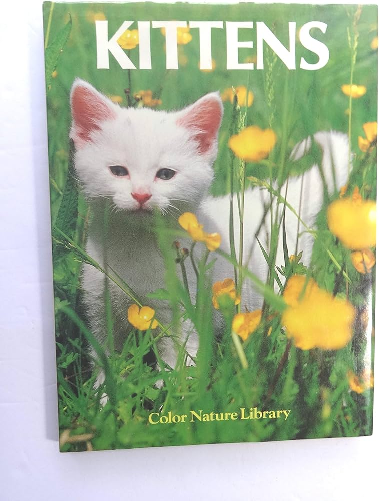 Kitten声に出して読みたい日本語&FirstLittleReaders Kitten声に出して