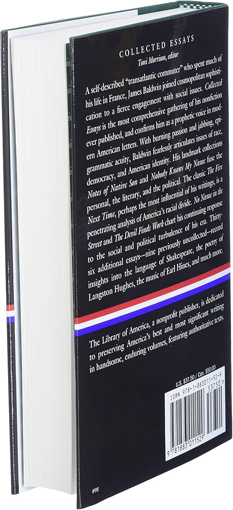 81AB6yb6VML._AC_UF1000,