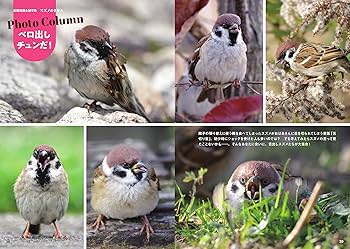 断捨離品⭐︎すずめ雀！ 断捨離品⭐︎すずめ雀！ 断捨離品⭐︎すずめ雀