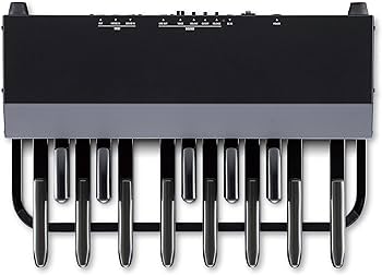 Amazon.co.jp: HAMMOND ハモンド MIDIペダルボード XPK-130G : 楽器