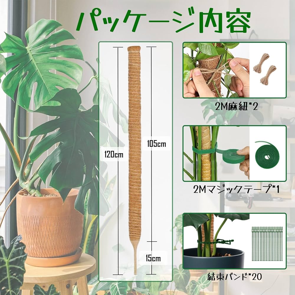 Amazon | 園芸 支柱 120cm 太め モンステラ支柱 ココスティック DIY