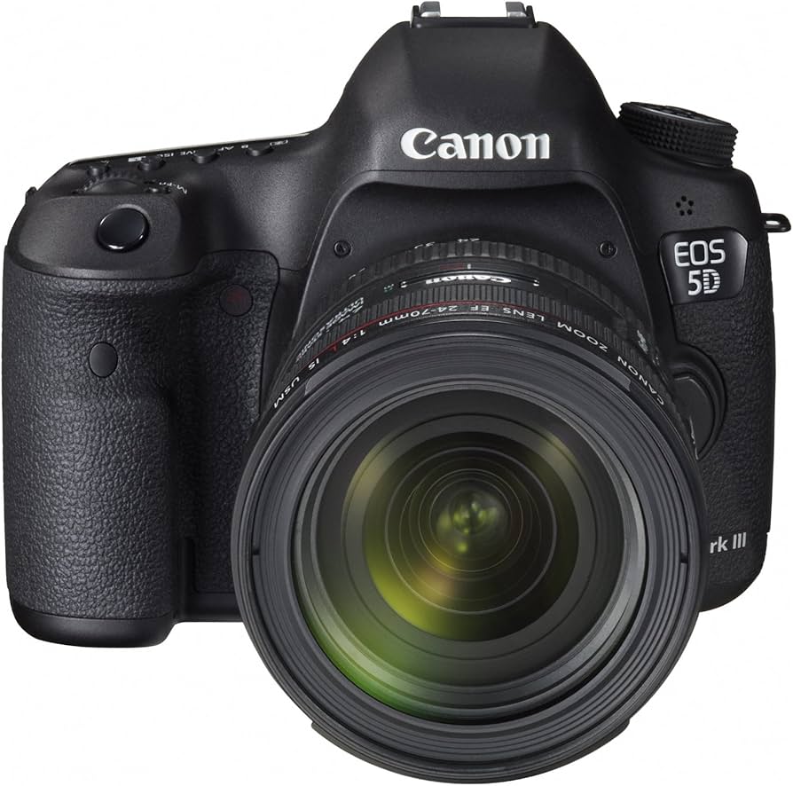 Amazon.com : Canon EOS 5D Mark III 22.3 MP Full Frame CMOS Digital