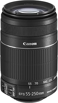 Amazon.com : Canon EFS 55-250mm f/4.0-5.6 IS II Telephoto Zoom