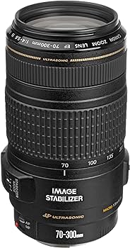 Amazon.com : Canon EF 70-300mm f/4-5.6 is USM Lens for Canon EOS