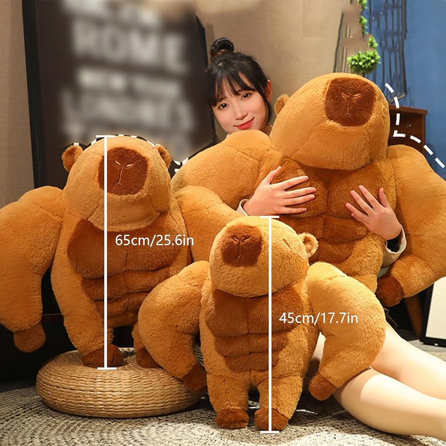 Amazon.co.jp: カピバラ ぬいぐるみ 45/65cm、フィットネス, 特大