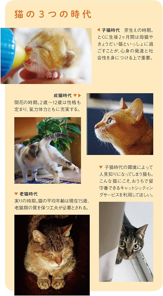 Amazon.co.jp: 猫の學校: 猫と人の快適生活レッスン (ポプラ新書 な 6