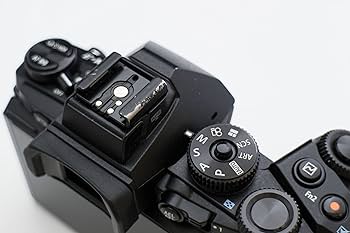 Amazon.co.jp: Olympus OM-D Mirrorless Single-Lens Digital Camera
