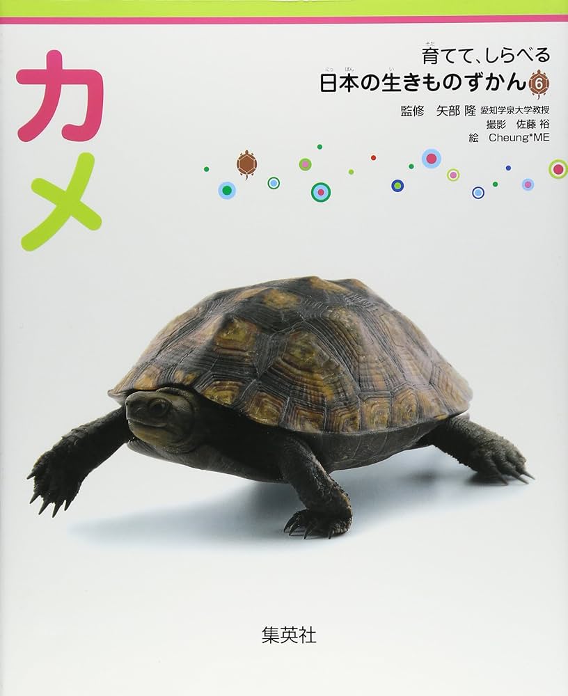 育てて、しらべる 日本の生きものずかん 6 カメ | 矢部 隆, 佐藤 裕
