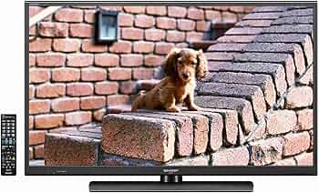 81LqVV9q2aL._AC_UF350,