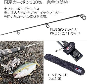 Amazon.co.jp: AbuGarcia (アブガルシア) ソルティーステージ