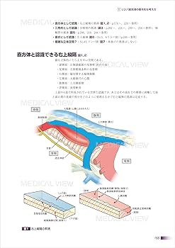 81Ny2LRQMmL._AC_UF350,